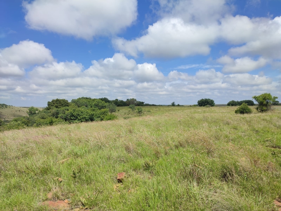 0 Bedroom Property for Sale in Swartruggens North West